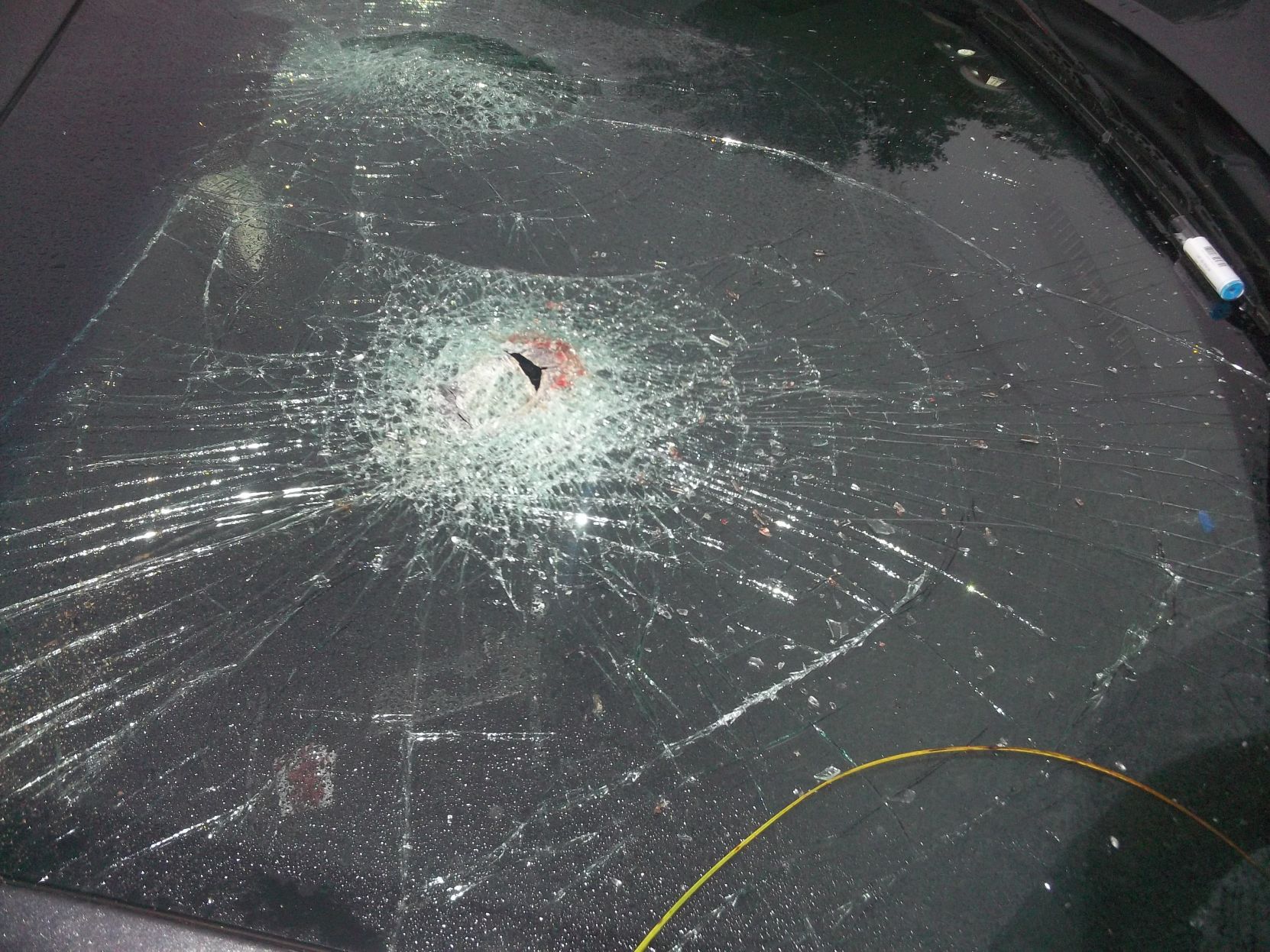 The windshield